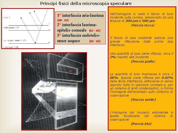 Principi fisici della microscopia speculare 1° interfaccia aria-lacrima (n 0 - n 1) 2°