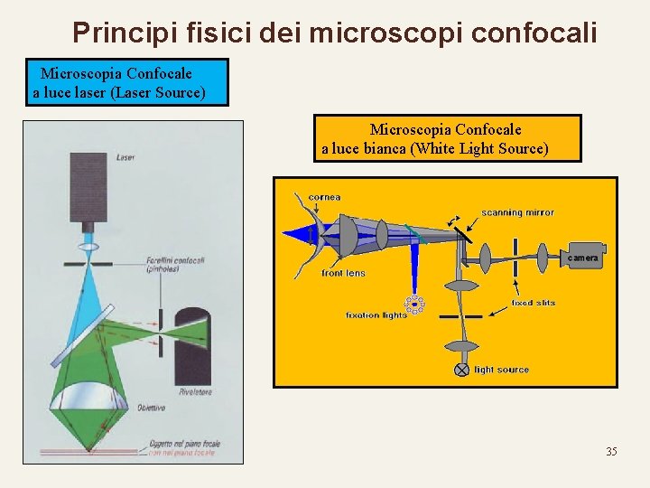 Principi fisici dei microscopi confocali Microscopia Confocale a luce laser (Laser Source) Microscopia Confocale