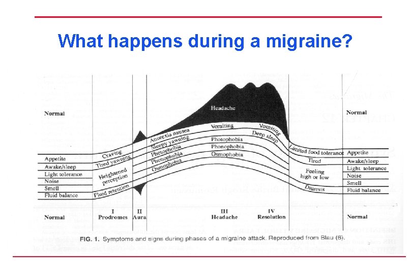 What happens during a migraine? 