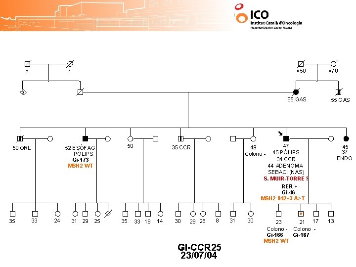 ? ? <50 >70 3 65 GAS 50 ORL 35 52 ESÒFAG PÒLIPS Gi-173