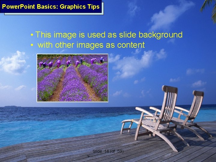 Power. Point Basics: Graphics Tips • This image is used as slide background •