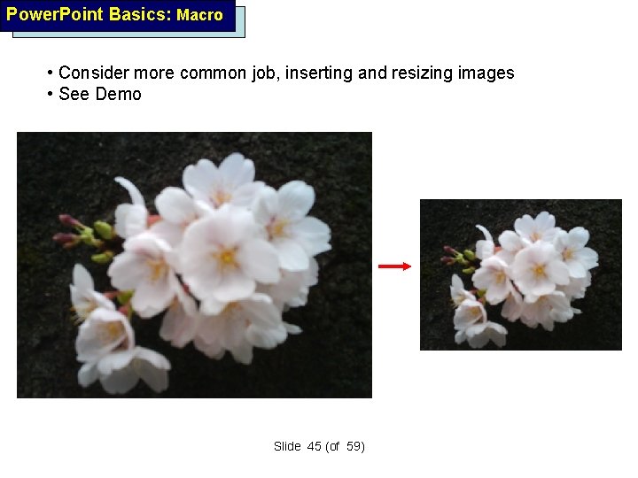 Power. Point Basics: Macro • Consider more common job, inserting and resizing images •
