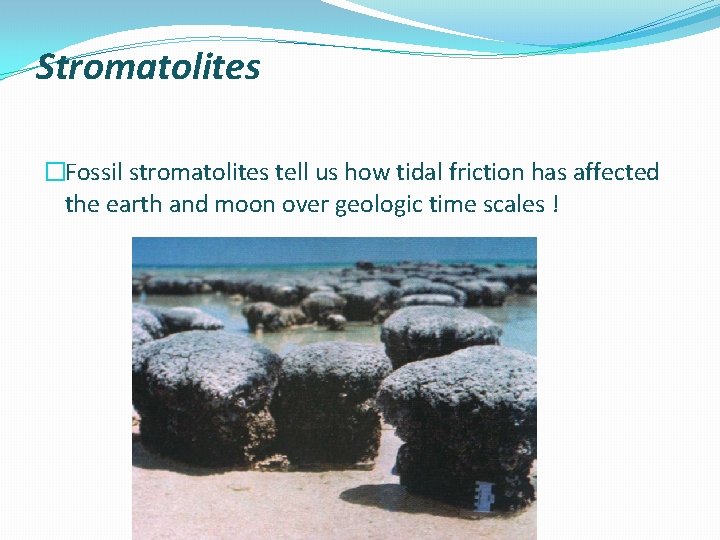 Stromatolites �Fossil stromatolites tell us how tidal friction has affected the earth and moon