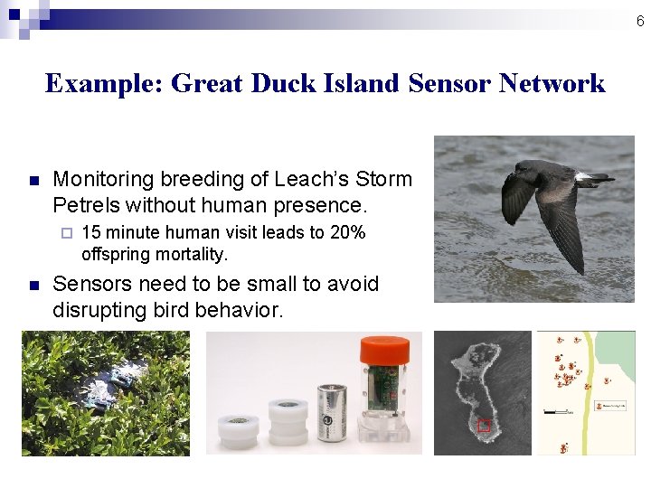 6 Example: Great Duck Island Sensor Network n Monitoring breeding of Leach’s Storm Petrels 6 Example: Great Duck Island Sensor Network n Monitoring breeding of Leach’s Storm Petrels