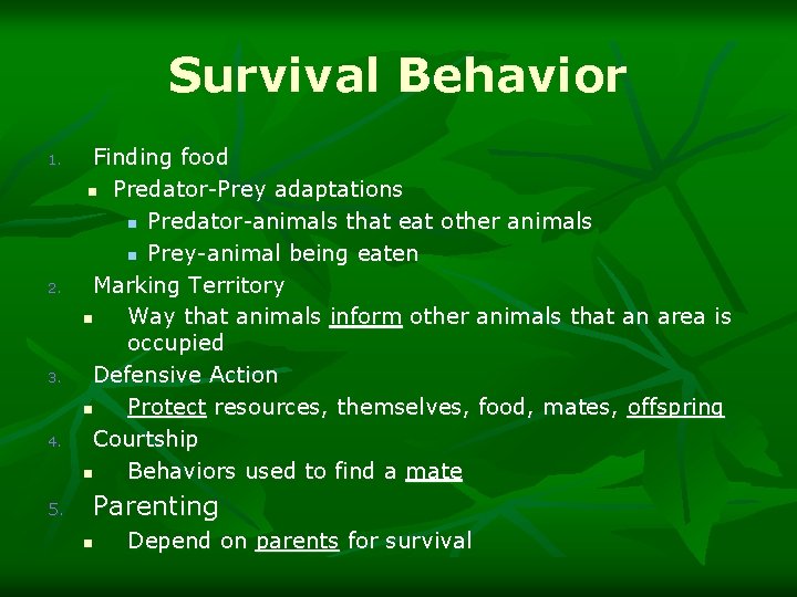 Survival Behavior 1. 2. 3. 4. 5. Finding food n Predator-Prey adaptations n Predator-animals