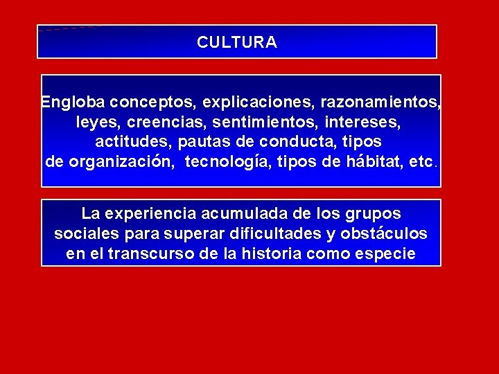 CULTURA Engloba conceptos, explicaciones, razonamientos, leyes, creencias, sentimientos, intereses, actitudes, pautas de conducta, tipos