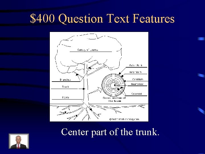 $400 Question Text Features Center part of the trunk. 