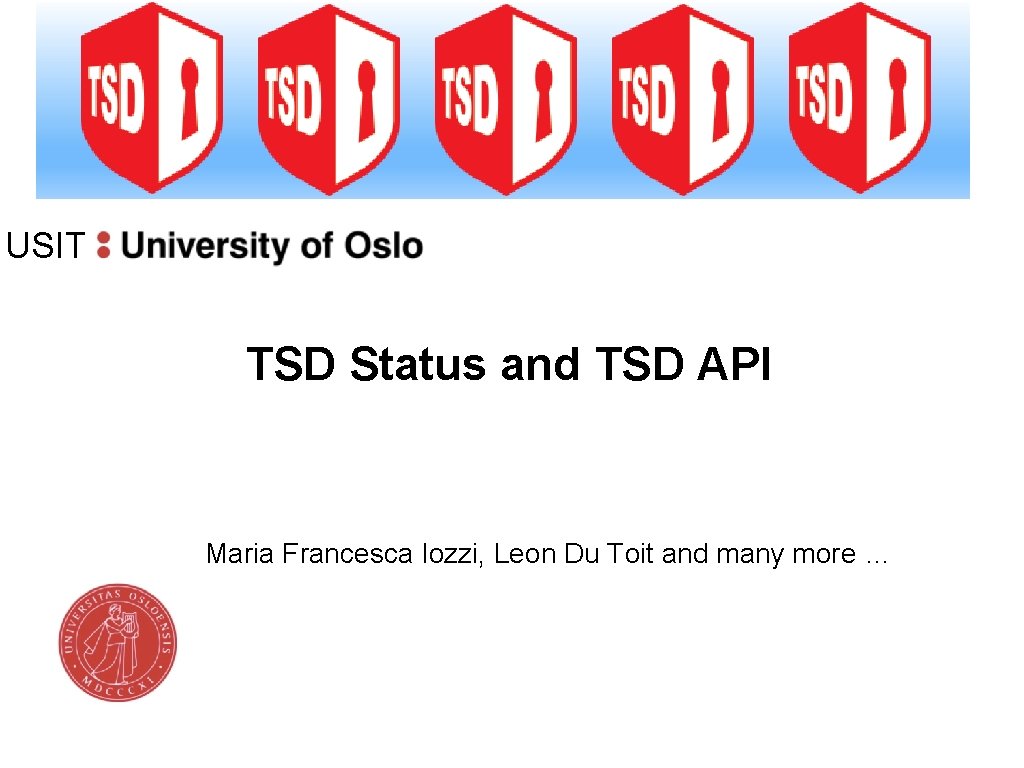 USIT TSD Status and TSD API Maria Francesca Iozzi, Leon Du Toit and many