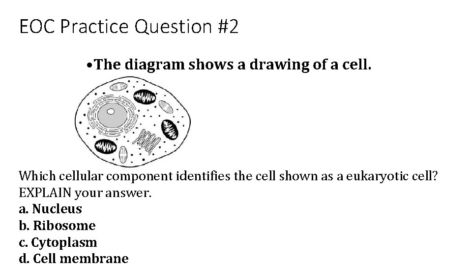 EOC Practice Question #2 • The diagram shows a drawing of a cell. Which