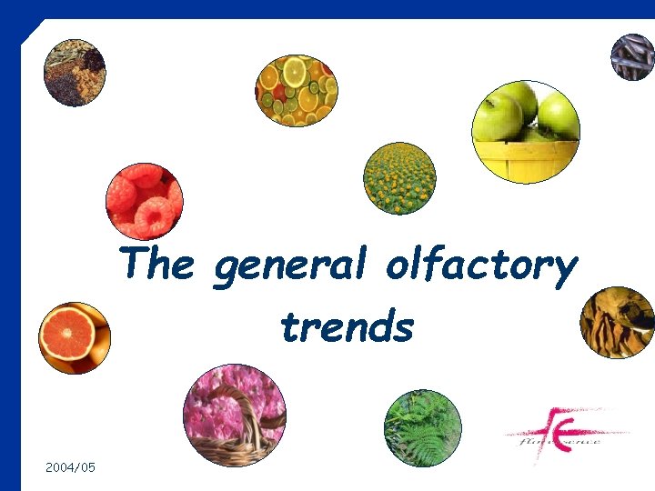 The general olfactory trends 2004/05 