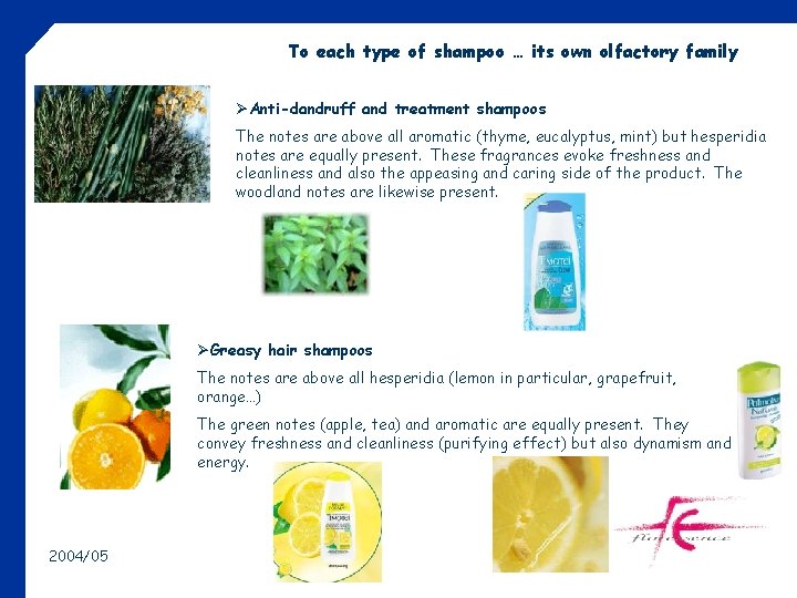 To each type of shampoo … its own olfactory family ØAnti-dandruff and treatment shampoos