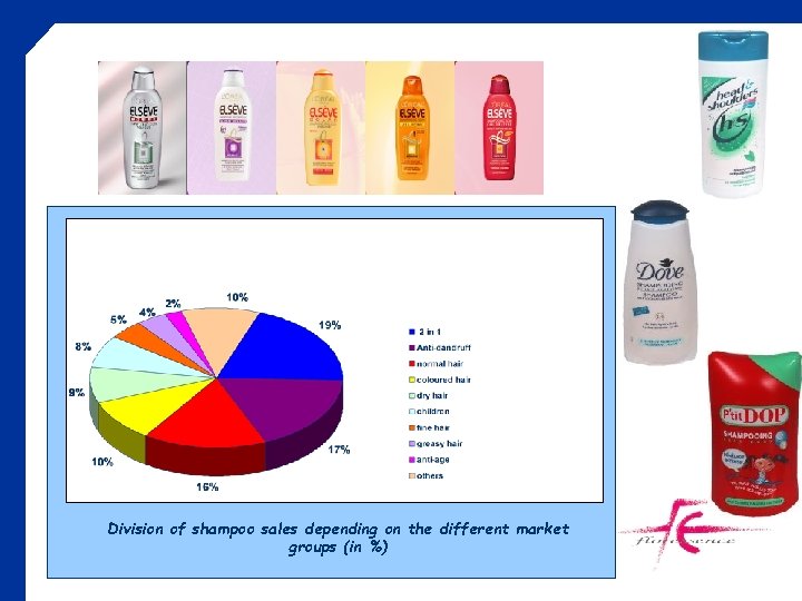 Division of shampoo sales depending on the different market groups (in %) 2004/05 