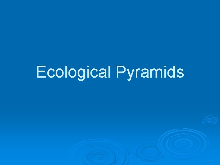 Ecological Pyramids 