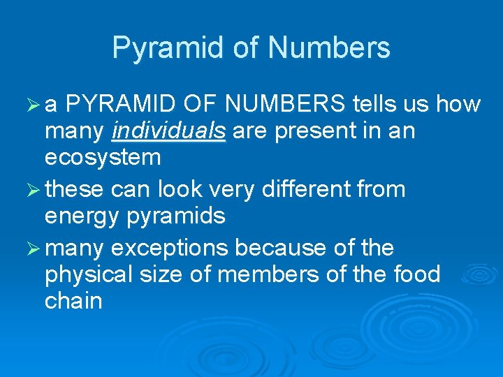 Pyramid of Numbers Ø a PYRAMID OF NUMBERS tells us how many individuals are