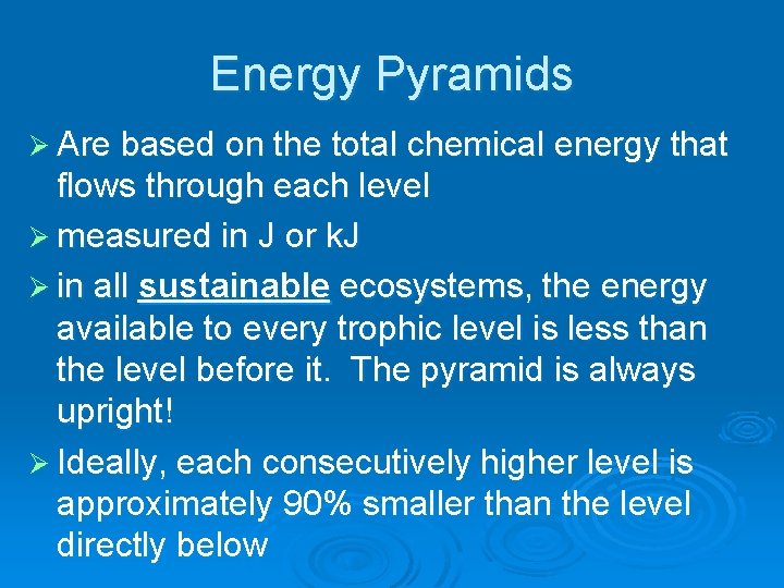 Energy Pyramids Ø Are based on the total chemical energy that flows through each