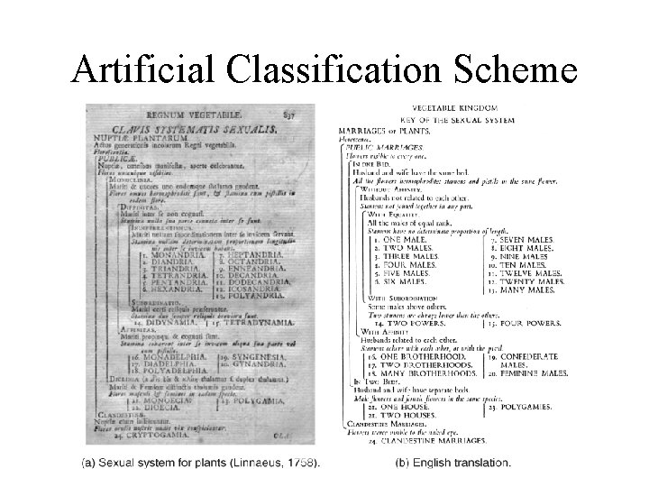 Artificial Classification Scheme Artificial Classification Scheme