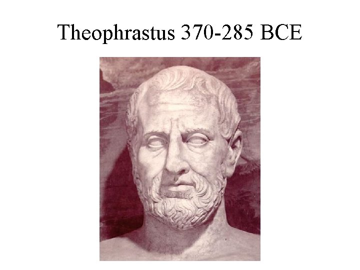 Theophrastus 370 -285 BCE 