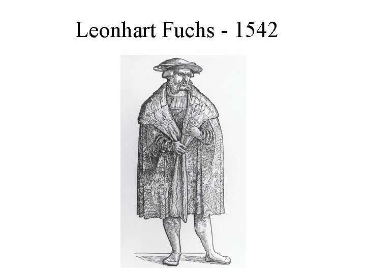 Leonhart Fuchs - 1542 