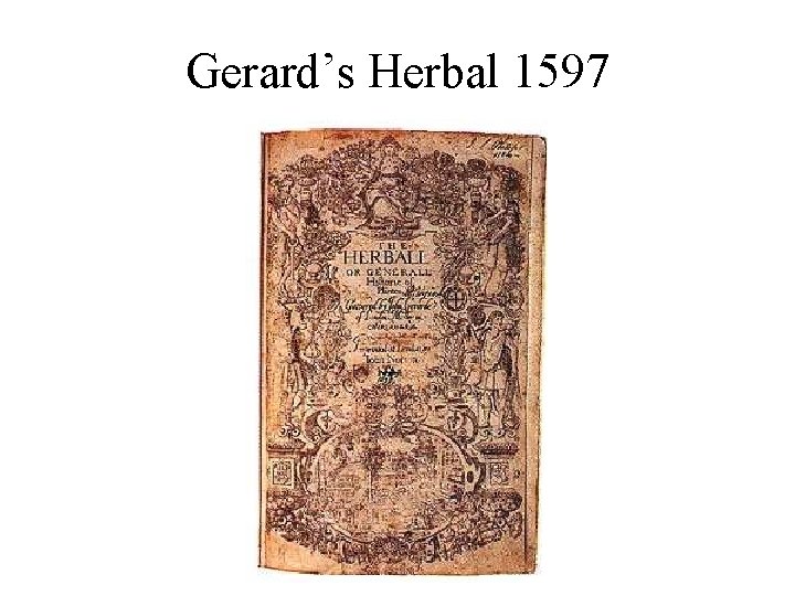 Gerard’s Herbal 1597 Gerard’s Herbal 1597