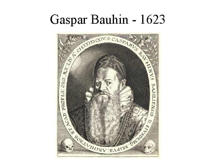 Gaspar Bauhin - 1623 Gaspar Bauhin - 1623