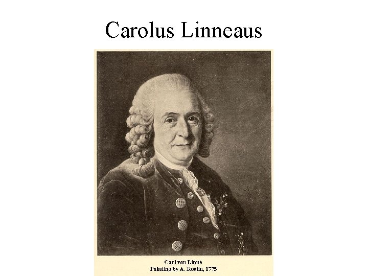 Carolus Linneaus 