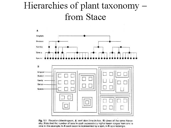 Hierarchies of plant taxonomy – from Stace Hierarchies of plant taxonomy – from Stace