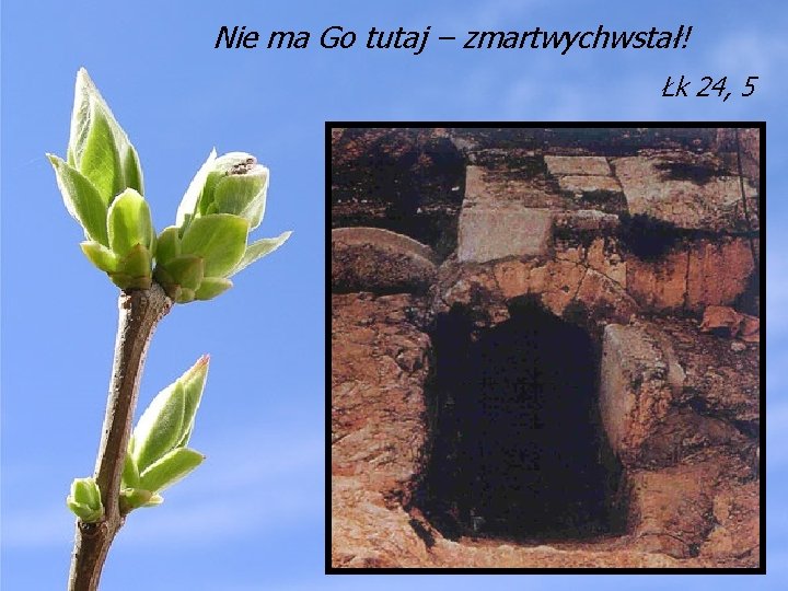 Nie ma Go tutaj – zmartwychwstał! Łk 24, 5 Nie ma Go tutaj – zmartwychwstał! Łk 24, 5