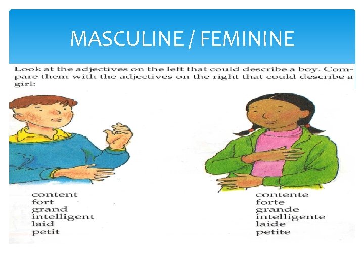 MASCULINE / FEMININE MASCULINE / FEMININE