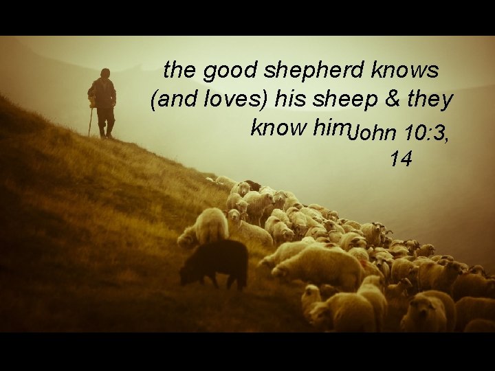 the good shepherd knows (and loves) his sheep & they know him. John 10:
