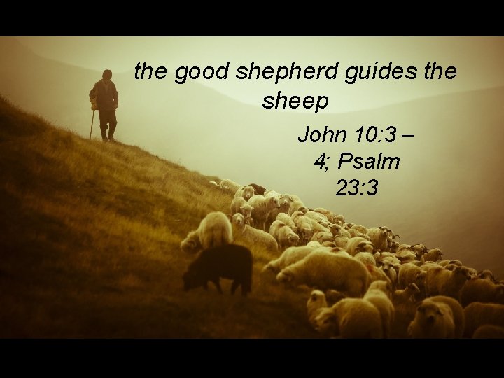 the good shepherd guides the sheep John 10: 3 – 4; Psalm 23: 3