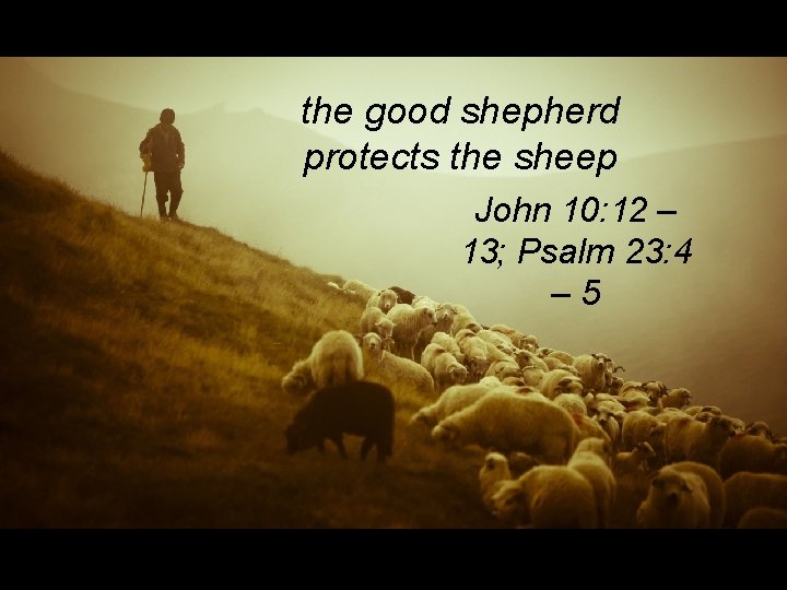 the good shepherd protects the sheep John 10: 12 – 13; Psalm 23: 4