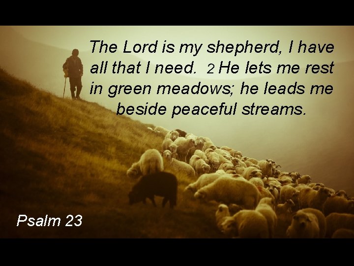 The Lord is my shepherd, I have all that I need. 2 He lets
