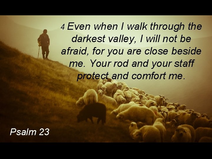 4 Even when I walk through the darkest valley, I will not be afraid,