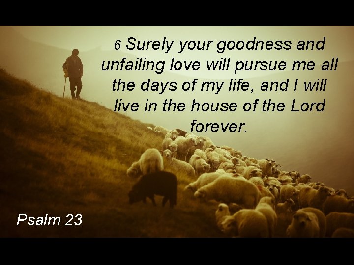 6 Surely your goodness and unfailing love will pursue me all the days of