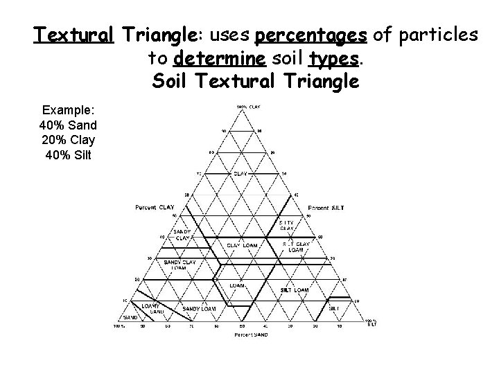 Textural Triangle: uses percentages of particles to determine soil types. Soil Textural Triangle Example: