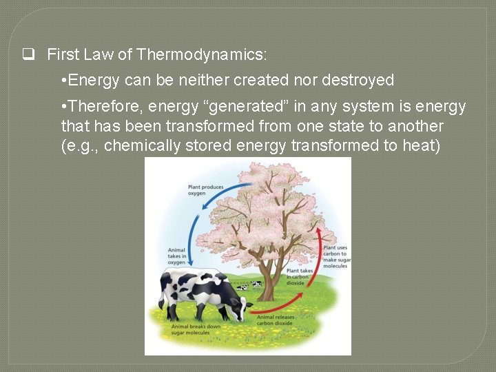 q First Law of Thermodynamics: • Energy can be neither created nor destroyed •