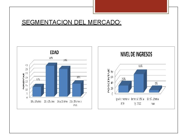 SEGMENTACION DEL MERCADO: 