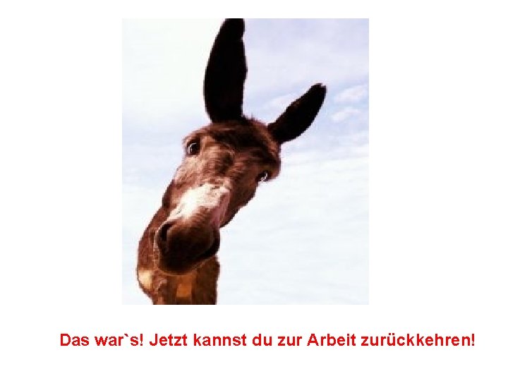 Das war`s! Jetzt kannst du zur Arbeit zurückkehren! 