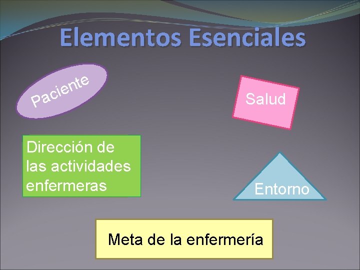 Elementos Esenciales e t n e i c Pa Salud Dirección de las actividades Elementos Esenciales e t n e i c Pa Salud Dirección de las actividades