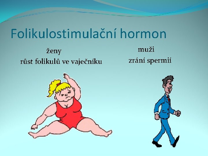 Folikulostimulační hormon ženy růst folikulů ve vaječníku muži zrání spermií 