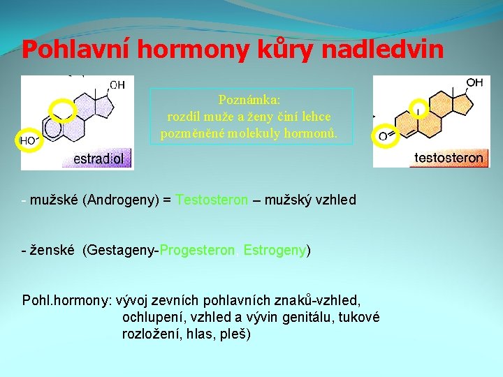 Pohlavní hormony kůry nadledvin Poznámka: rozdíl muže a ženy činí lehce pozměněné molekuly hormonů.