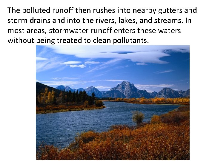 The polluted runoff then rushes into nearby gutters and storm drains and into the The polluted runoff then rushes into nearby gutters and storm drains and into the
