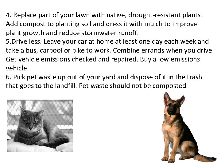 4. Replace part of your lawn with native, drought-resistant plants. Add compost to planting 4. Replace part of your lawn with native, drought-resistant plants. Add compost to planting