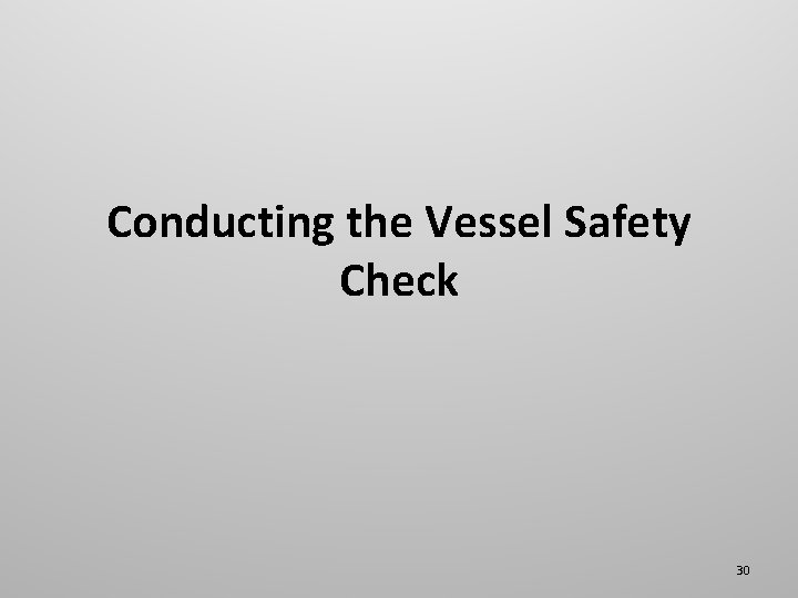 Conducting the Vessel Safety Check 30 