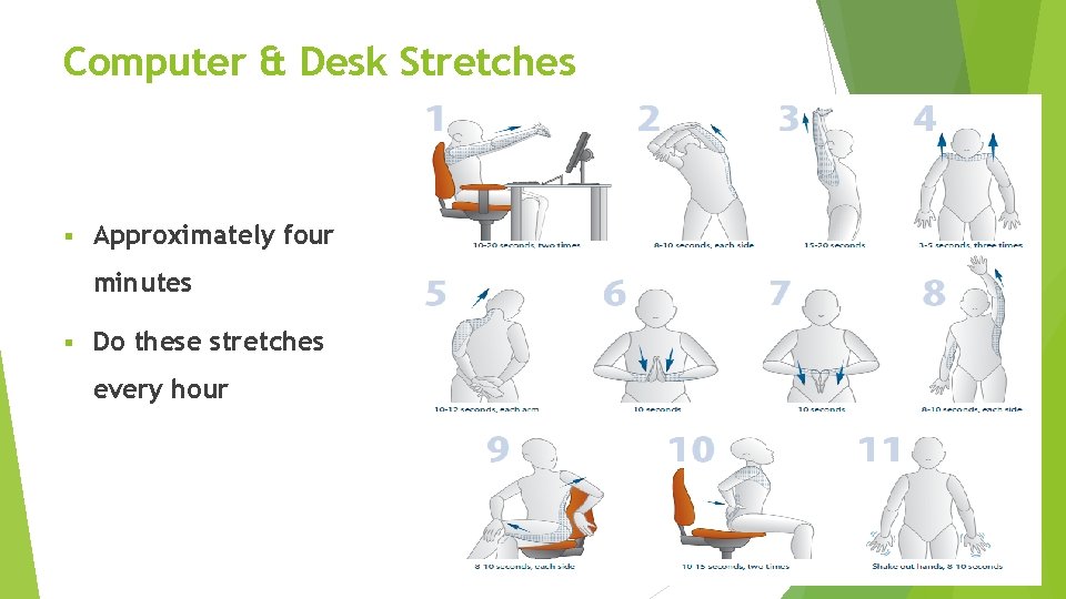 Computer & Desk Stretches § Approximately four minutes § Do these stretches every hour