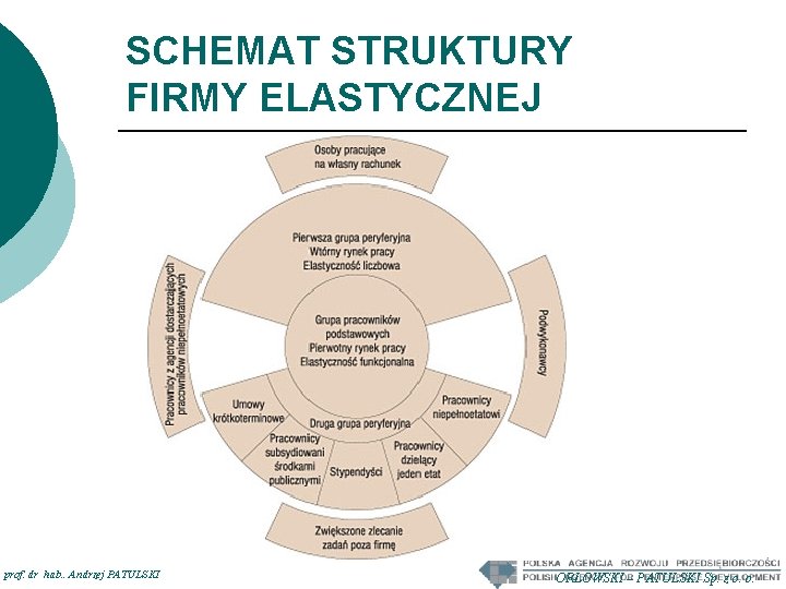 SCHEMAT STRUKTURY FIRMY ELASTYCZNEJ prof. dr hab. . Andrzej PATULSKI ORŁOWSKI – PATULSKI Sp.