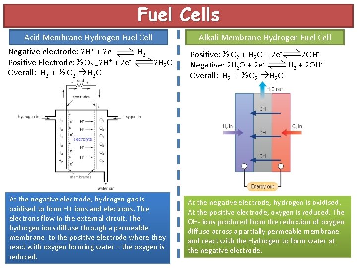 Fuel Cells Acid Membrane Hydrogen Fuel Cell Alkali Membrane Hydrogen Fuel Cell Negative electrode: