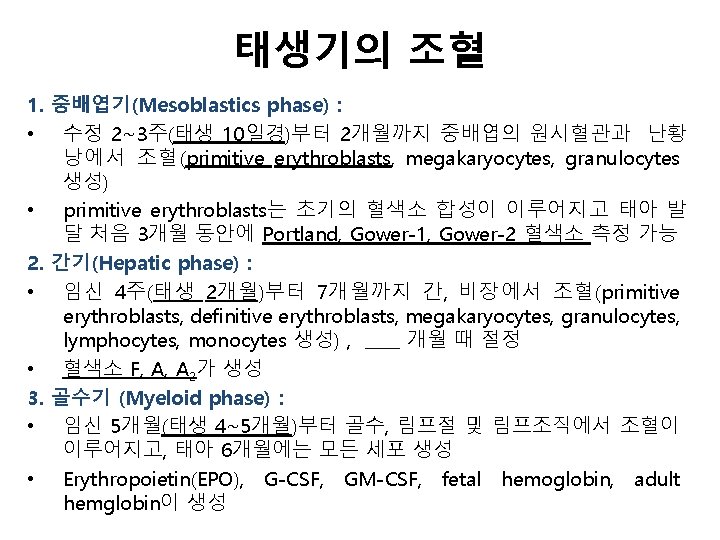 태생기의 조혈 1. 중배엽기(Mesoblastics phase) : • 수정 2~3주(태생 10일경)부터 2개월까지 중배엽의 원시혈관과 난황