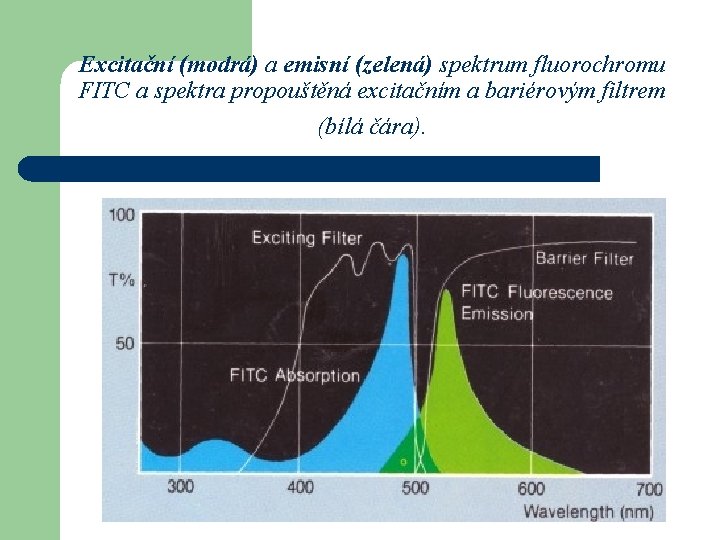 Excitační (modrá) a emisní (zelená) spektrum fluorochromu FITC a spektra propouštěná excitačním a bariérovým