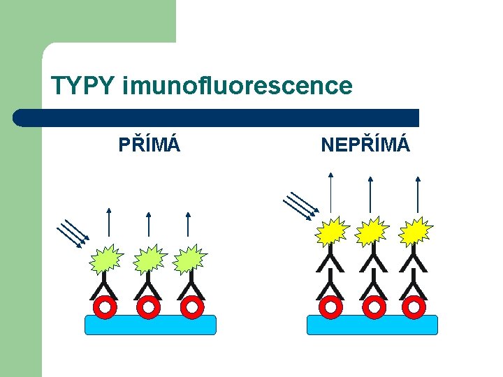 TYPY imunofluorescence PŘÍMÁ NEPŘÍMÁ 